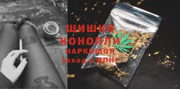 сатива Белокуриха