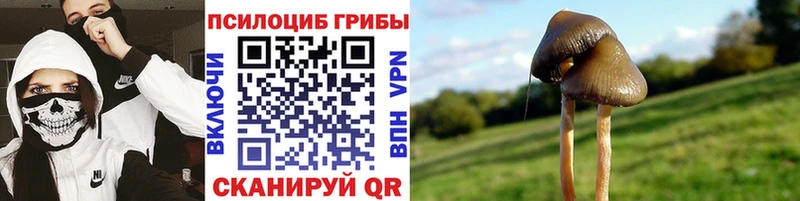 kraken tor  Городовиковск  Псилоцибиновые грибы ЛСД  наркошоп 